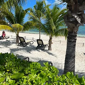 Beachfront Loft Amara Appartement Cancún